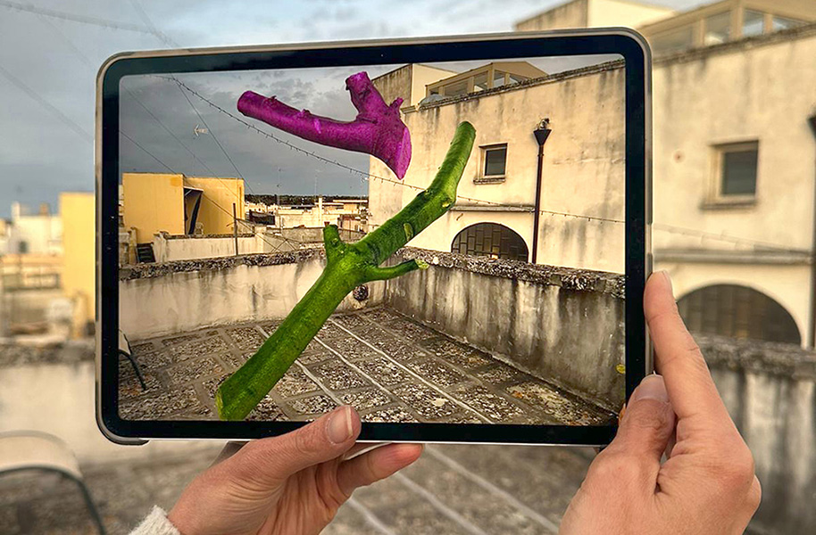 Olive Branches virtual installation