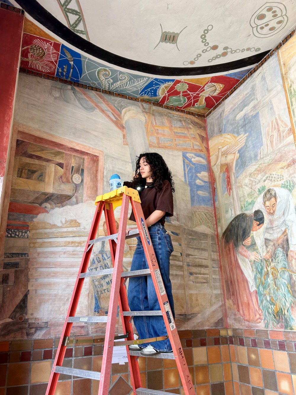 Mural Conservation Student Project